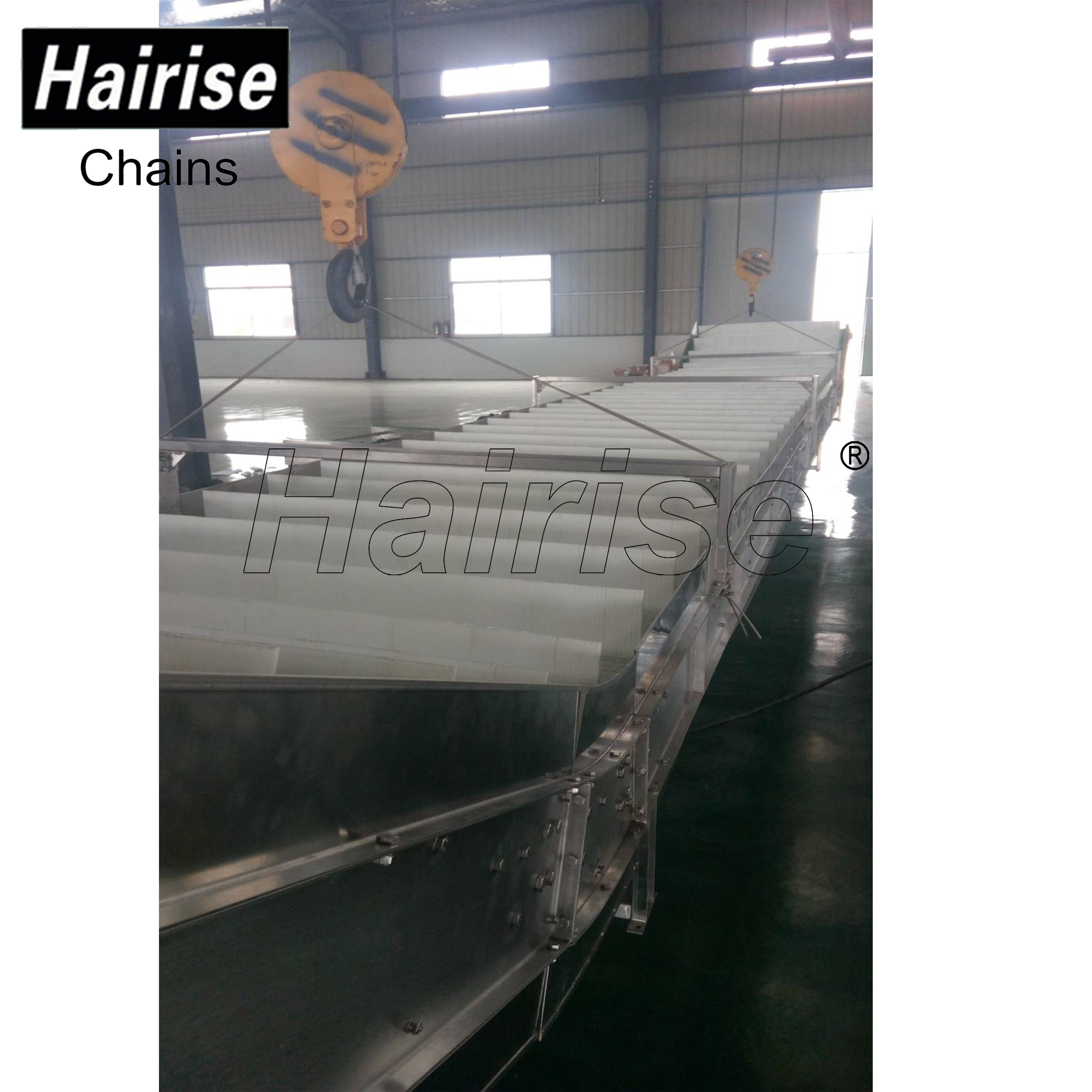 Hairise conveyor system for cooling fish industry