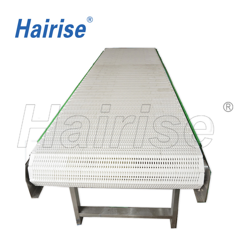 Hairise cleaning conveyor with modular belt Har6100 Featured Image
