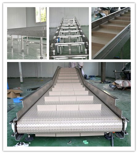 Conveyor Design