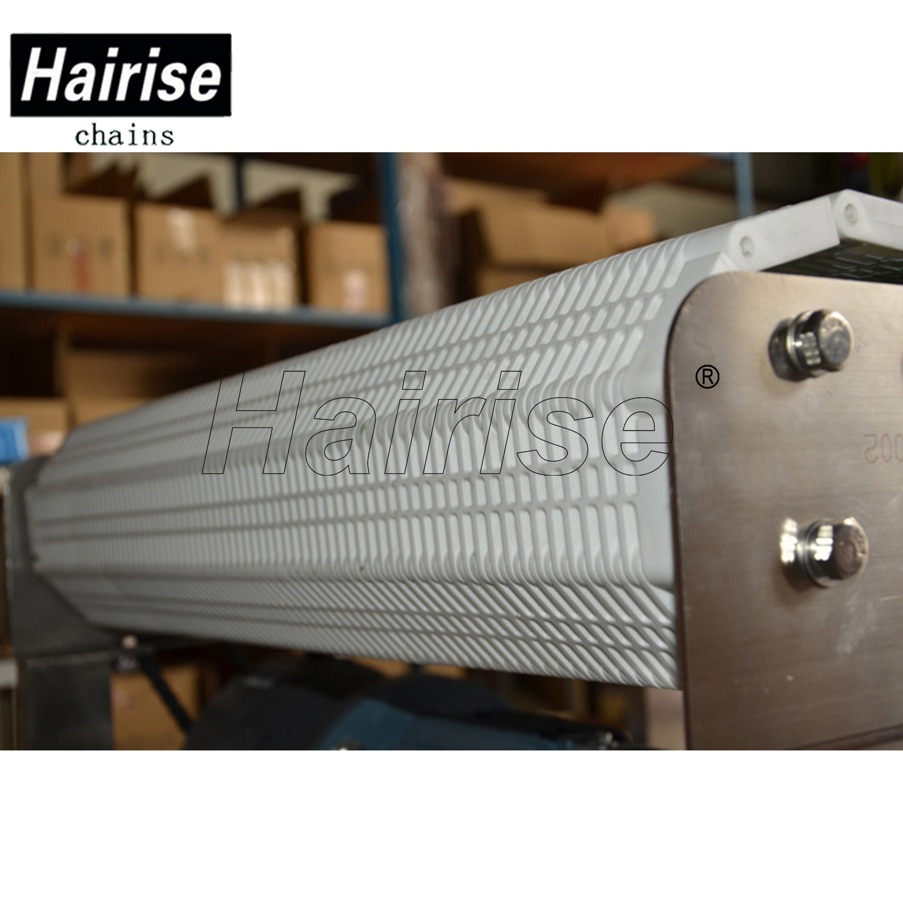 Hairise Straight Conveyor with Modular Belts(Har400)
