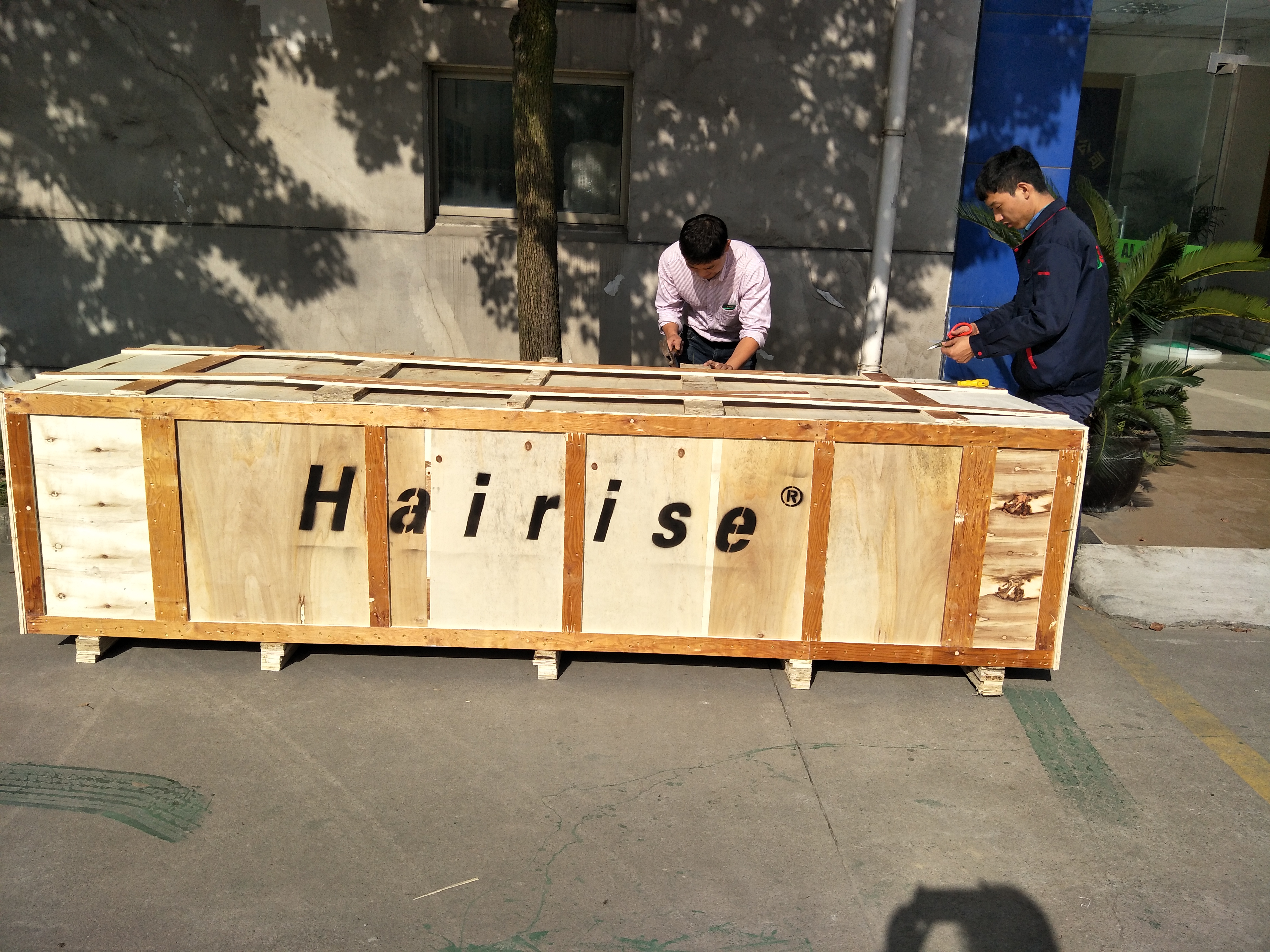 Hairise Brand Package Show