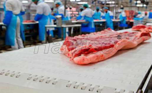 Modular Belt Application in Meat, Beef and Poultry