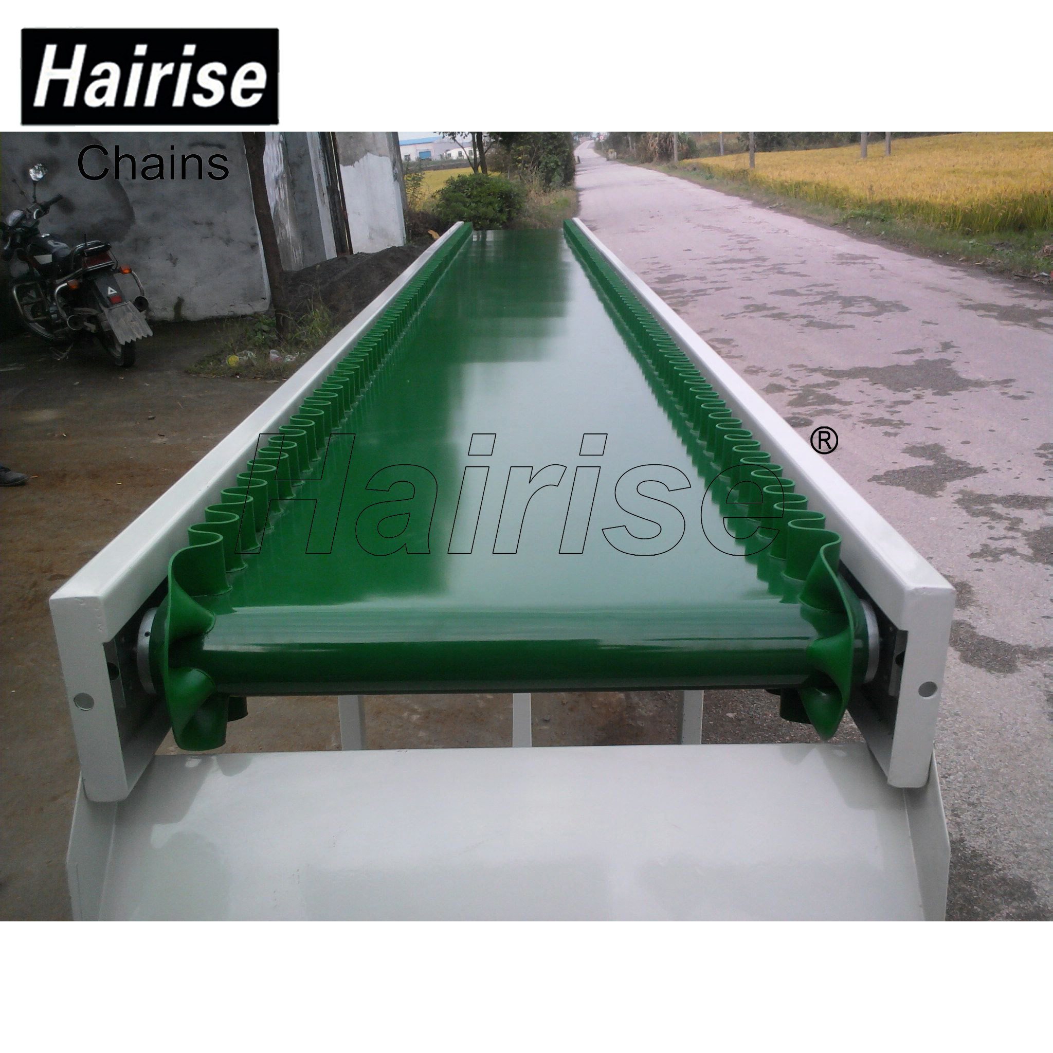 Hairise Straigh PVC Belt Conveyor System with Adjustable Speed