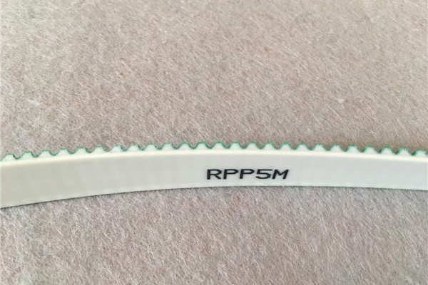 Factory directly sale RPP5M Industrial Belt to Chile Factories