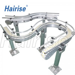 Hairise flexible chain conveyor system