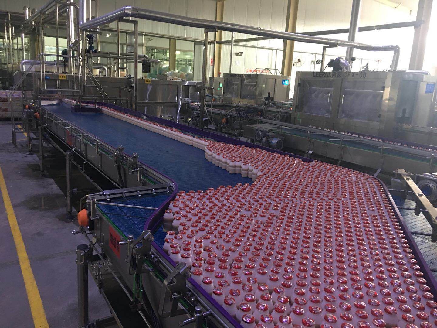 Conveyor Application for Drinks Industry