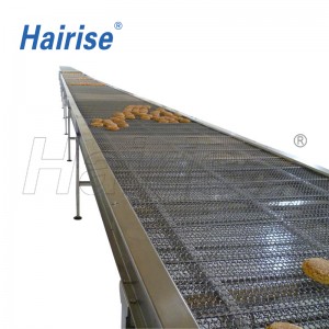 Hairise stainless steel mesh belt conveyor systems
