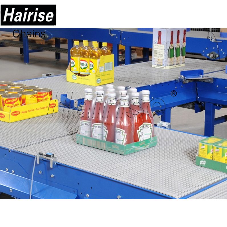 Hairise Straight/Curve Conveyors for bottle conveying