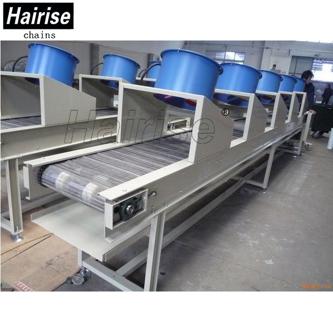 Hairise stainless steel wire mesh belt conveyor